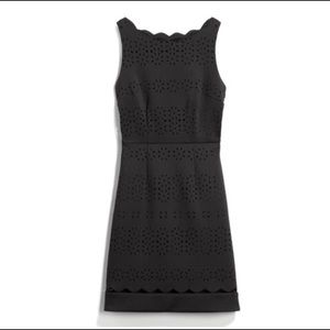 Truly Poppy Laser Cut Scuba Dress